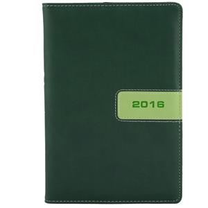 Diár český denný A5 Riga - zelená/zelená