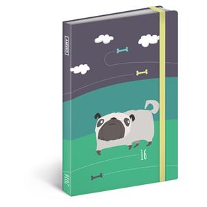 Diár Psy týždenný B6 obrázkový 2016