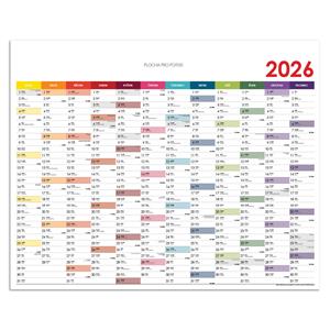 Nástenná plánovacia mapa 2026 CZ - 100 x 80 cm - farebná
