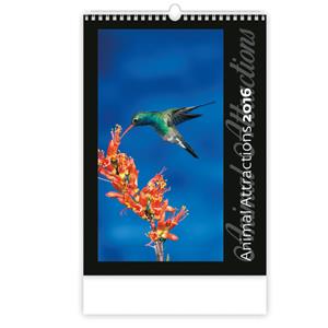 Nástenný kalendár 2016 Animal Attractions