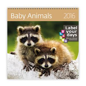 Nástenný kalendár 2016 Baby Animals
