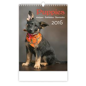 Nástenný kalendár 2016 Šteniatka - Puppies