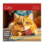 Nástenný kalendár 2022 - Cats