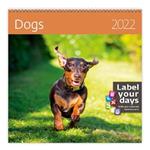 Nástenný kalendár 2022 - Dogs
