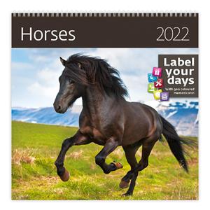 Nástenný kalendár 2022 - Horses