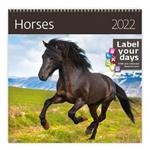 Nástenný kalendár 2022 - Horses