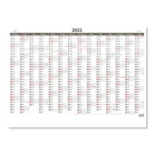 Nástenný kalendár 2022 - Plánovací ročná mapa A1 bezobrázková