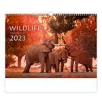 Nástenný kalendár 2023 - Wildlife