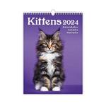 Nástenný kalendár 2024 - Mačičky
