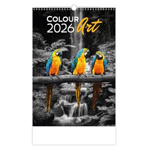 Nástenný kalendár 2026 - Colour Art