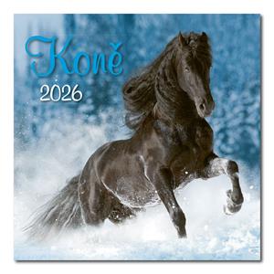 Nástenný kalendár 2026 - Kone