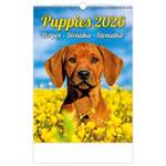 Nástenný kalendár 2026 - Šteniatka