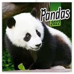 Nástenný poznámkový kalendár 2022 Pandy