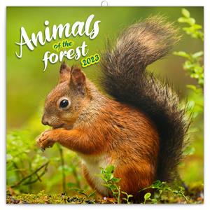 Nástenný poznámkový kalendár 2023 Lesné zvieratká