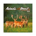 Nástenný poznámkový kalendár 2024 Lesné zvieratká