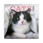 Nástenný poznámkový kalendár 2024 Mačky