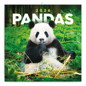 Nástenný poznámkový kalendár 2026 Pandy