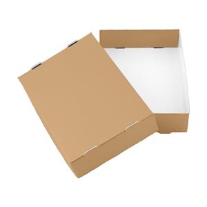 Papierová krabička s vekom typ 3 skladacie 250x310 matná - zlatá