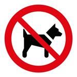 Zákaz vstupu so psom - SYMBOL, samolepka 100x100